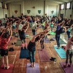 The Yoga Hub Dublin